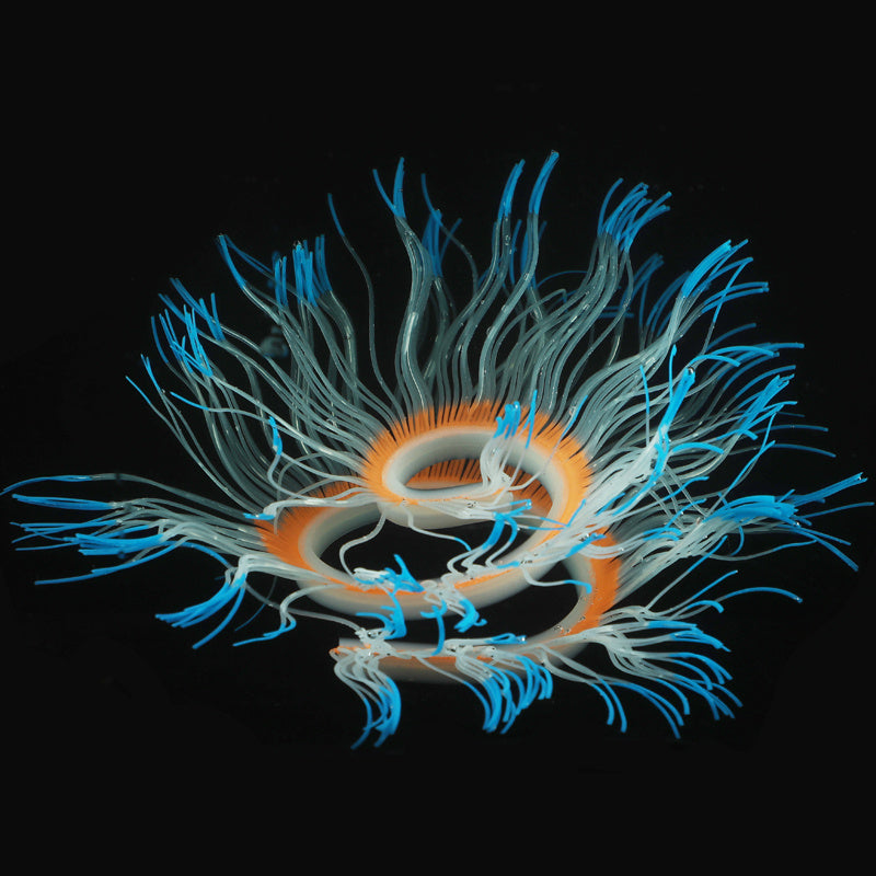 Transform Your Aquarium with Stunning Fish Tank Decoration Accessories!