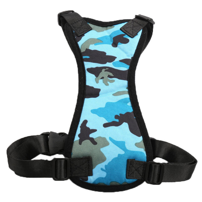 Why Your Pet Deserves the Best: Car Seat Belts for Pets