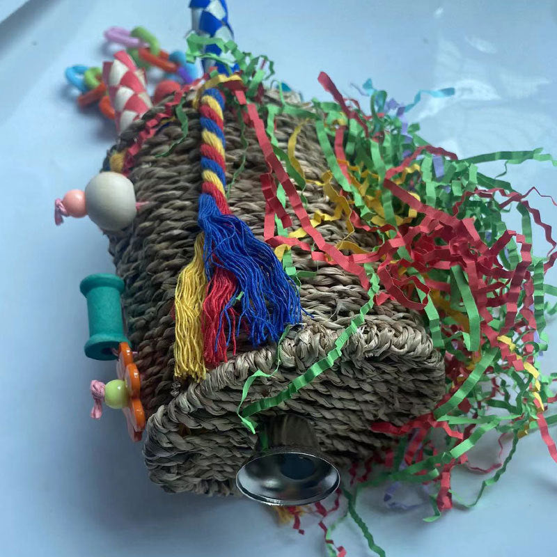 Unleash the Fun: Large Parrot Halloween Shaped Chew Nut Bird Toy