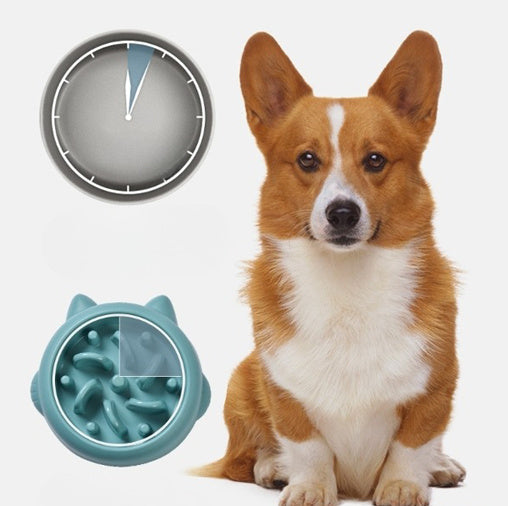 Slow Down Mealtime: The Benefits of Slow Feeder Bowls for Your Pets