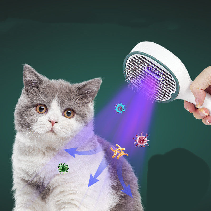 Revolutionize Your Pet Grooming Routine with Our Hair Brush for Cats and Dogs