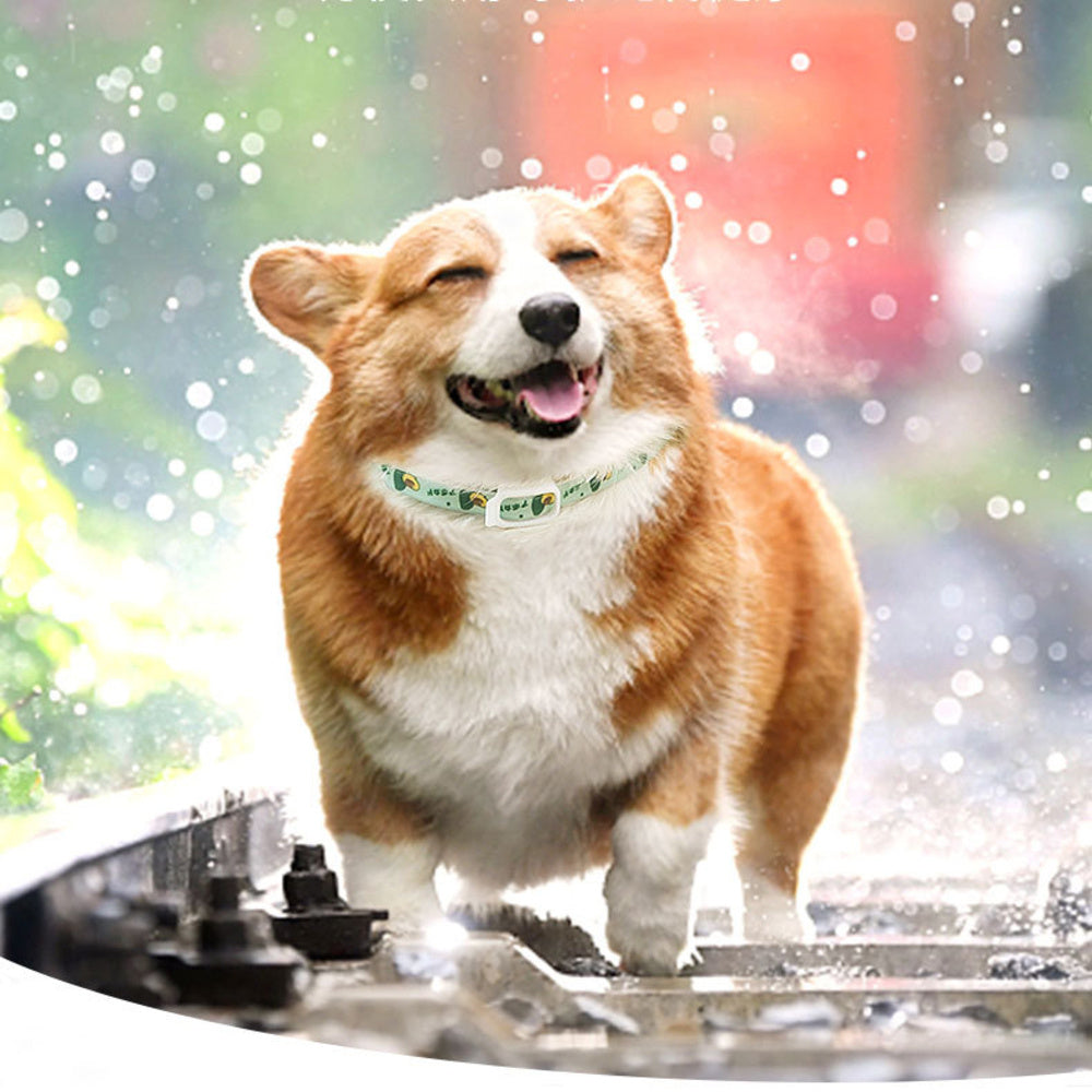 Pet Dog & Cat Repellent Collar – Anti-Flea, Anti-Lice, Adjustable Outdoor Collar