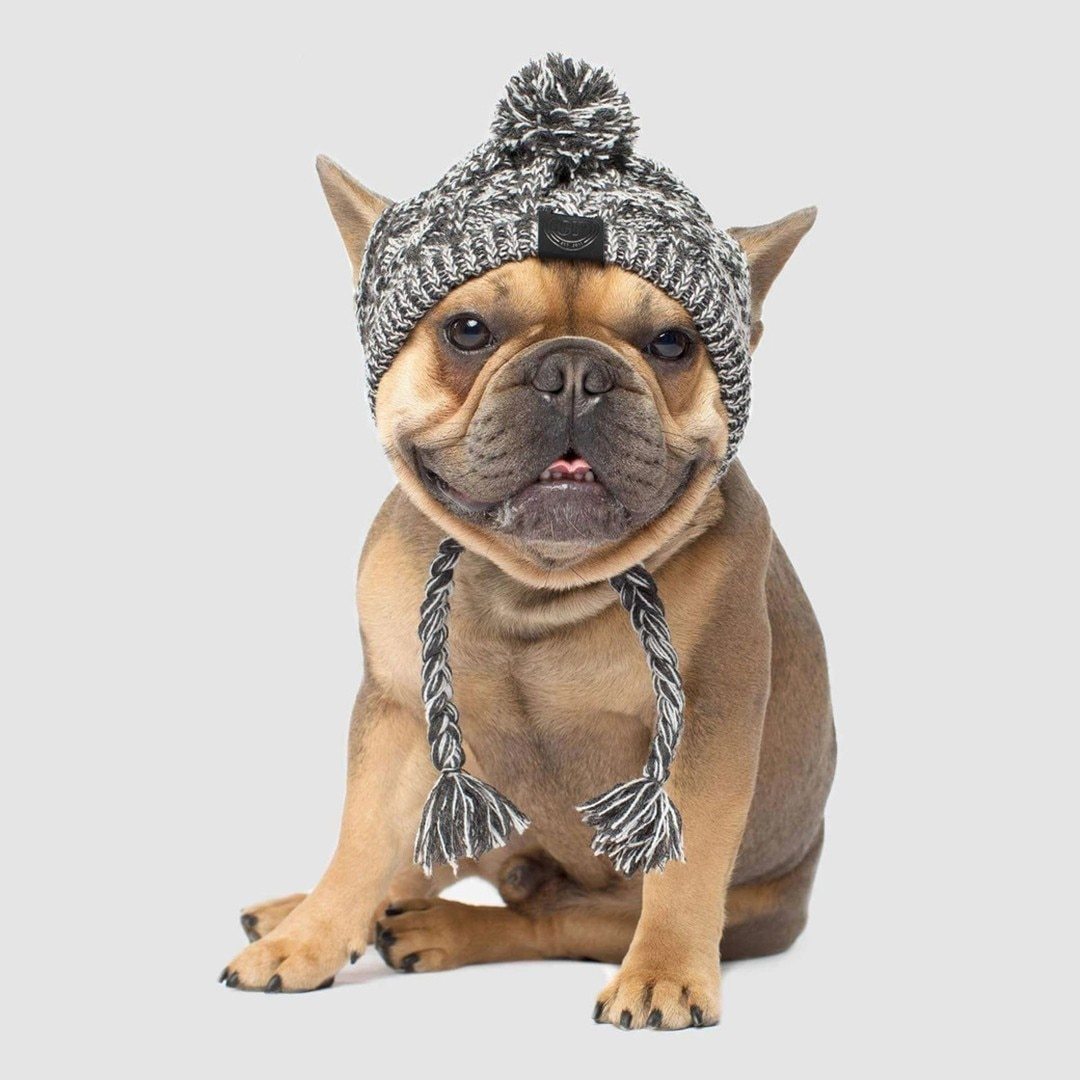 Winter Fashion Dog Hat – Windproof Fluffy Knit Pom Hat