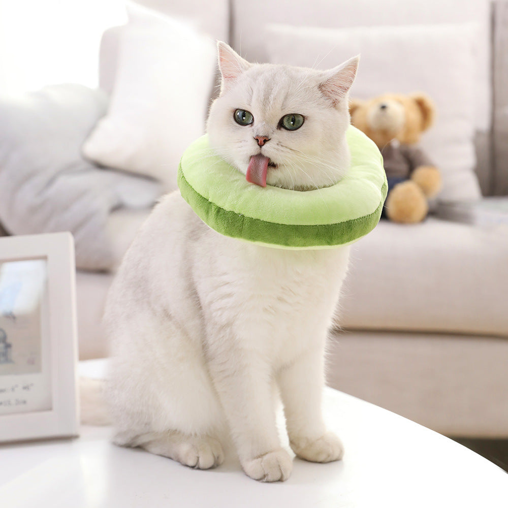 Kitty Toast Headgear Pet Headdress Accessories Funny