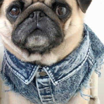 Pet Dog Washed Denim Jacket Clothes