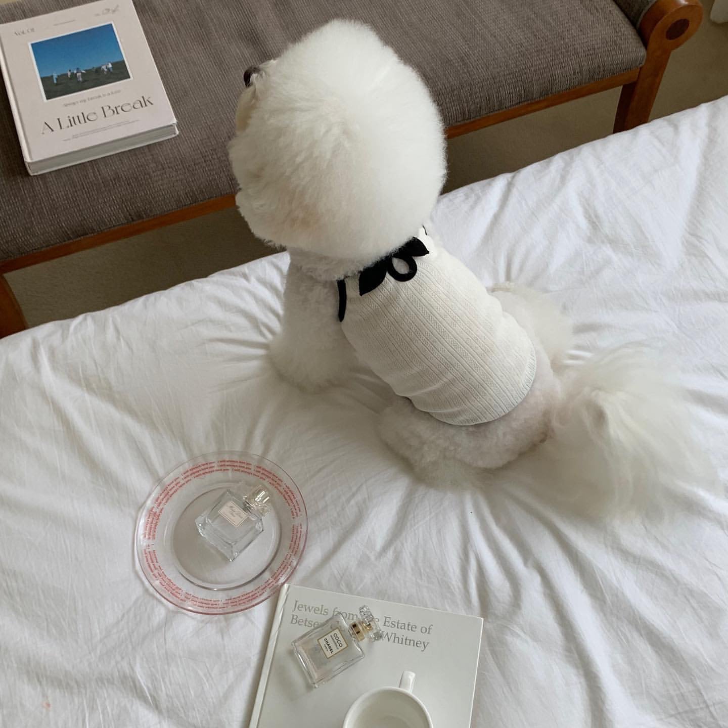 Lightweight Dog Camisole – Stylish Summer Outfit for Small Dogs