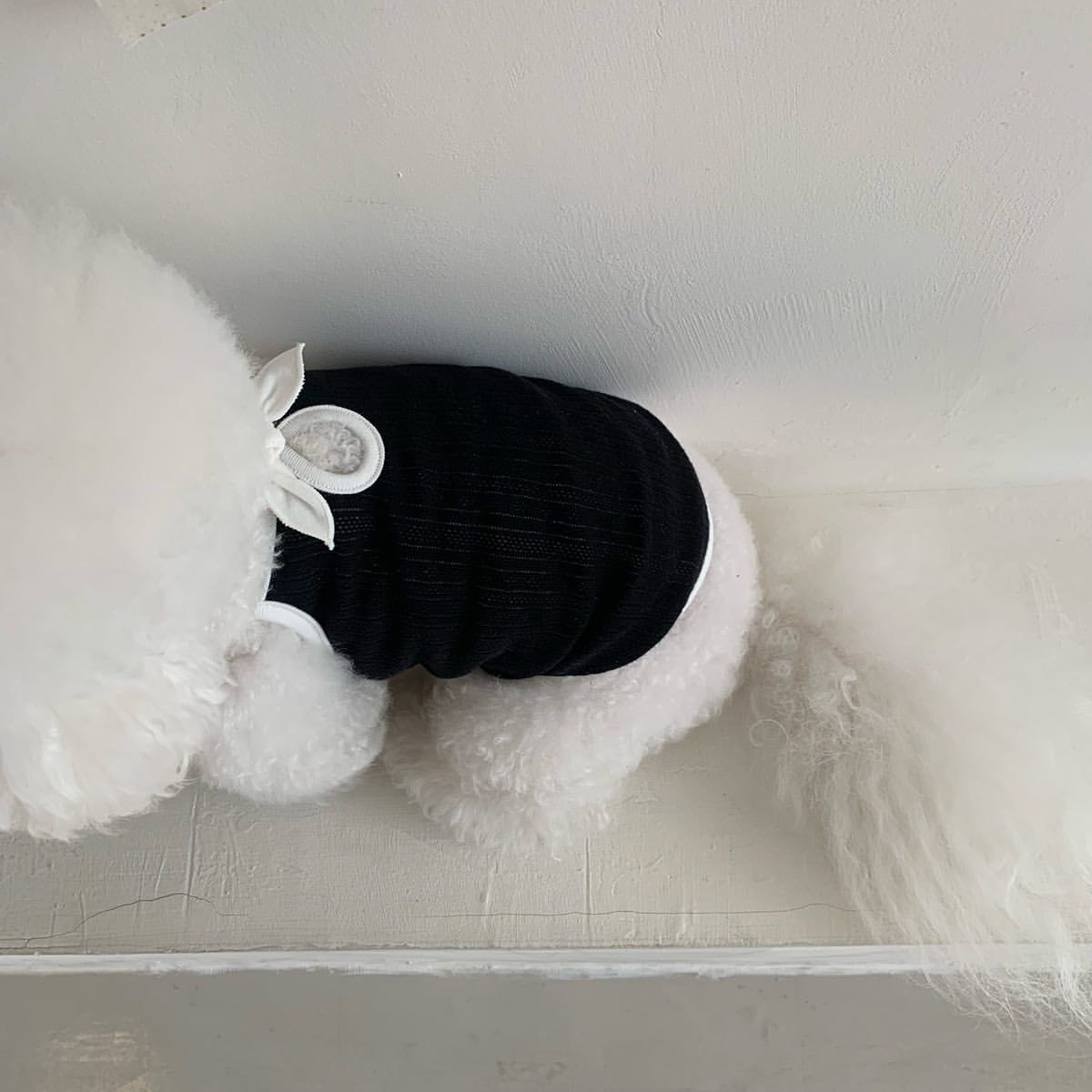 Lightweight Dog Camisole – Stylish Summer Outfit for Small Dogs