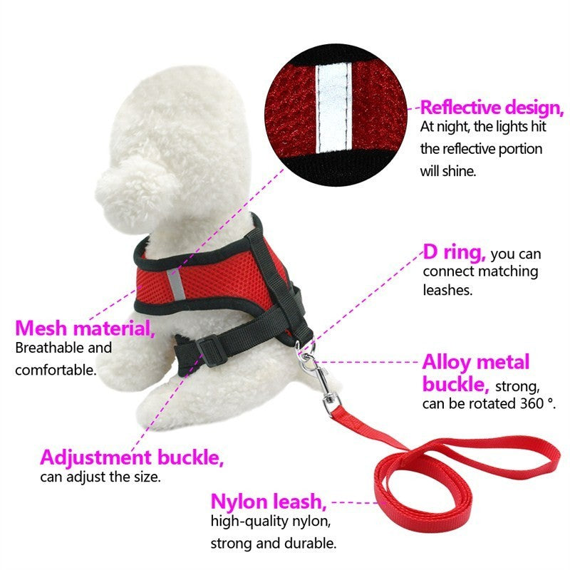 Pet Car Seat Belt & Leash – Adjustable Mesh Safety Strap