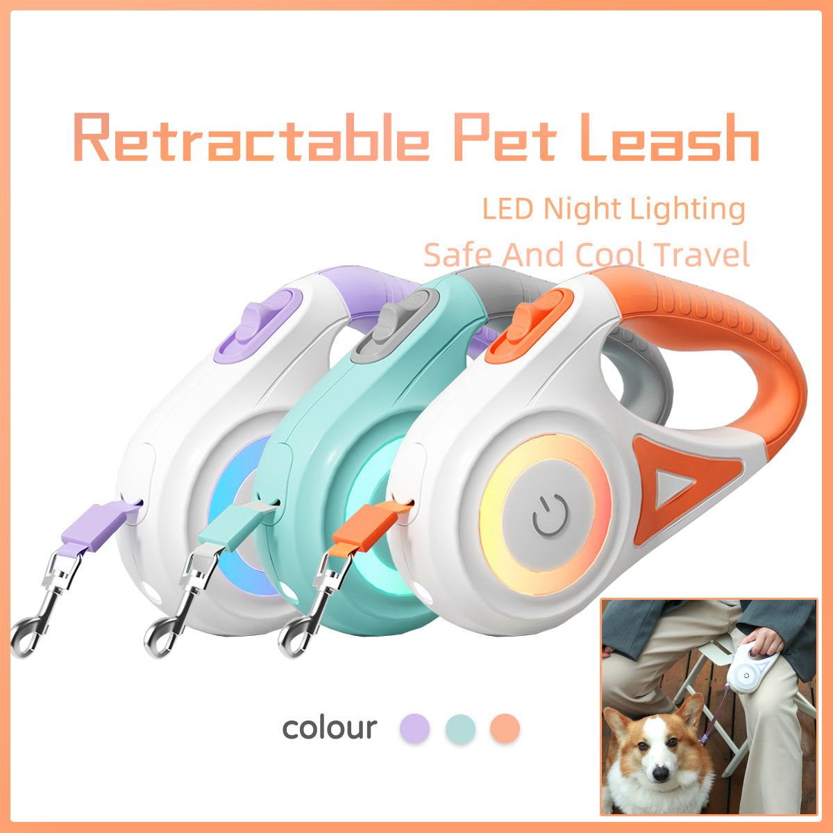 Retractable Dog Leash & Collar Set – Spotlight Automatic Traction Rope