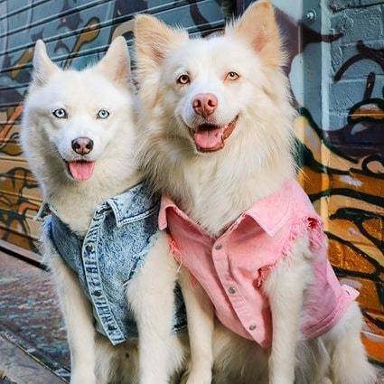 Pet Dog Washed Denim Jacket Clothes