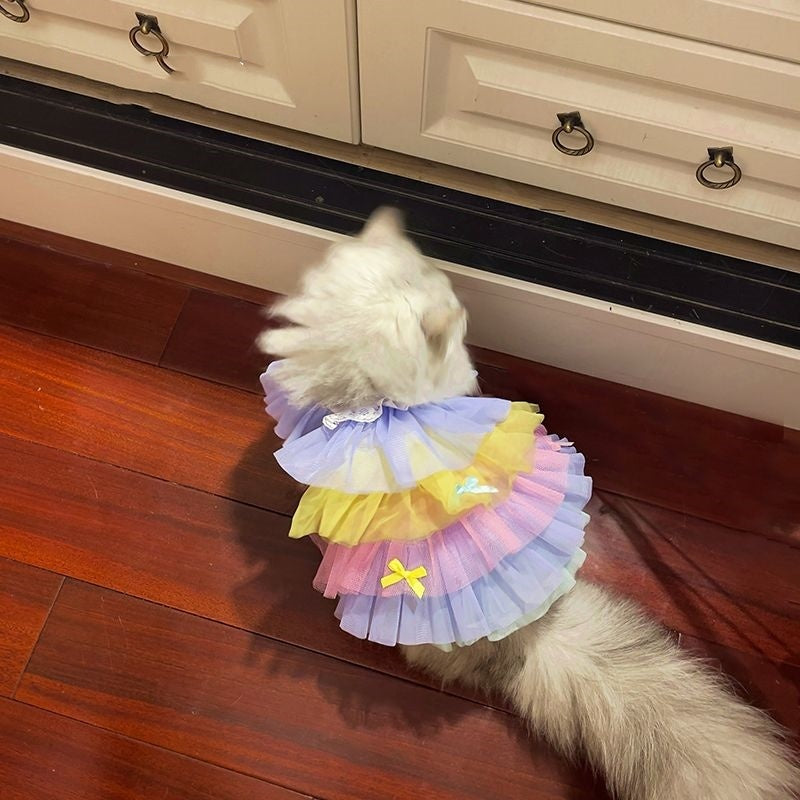 Pet Lace Mesh Dress – Elegant Summer Outfit for Cats & Small Dogs