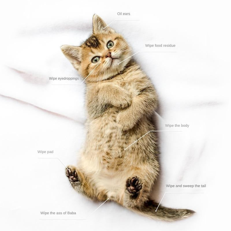 Pet Cleaning & Deodorizing Wipes – Coconut Oil Grooming Wipes for Dogs & Cats