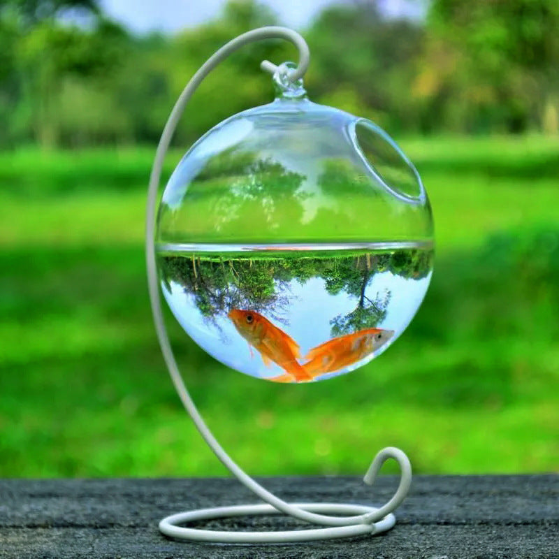 Hanging Glass Vase Fish Tank – Mini Decorative Aquarium Bowl