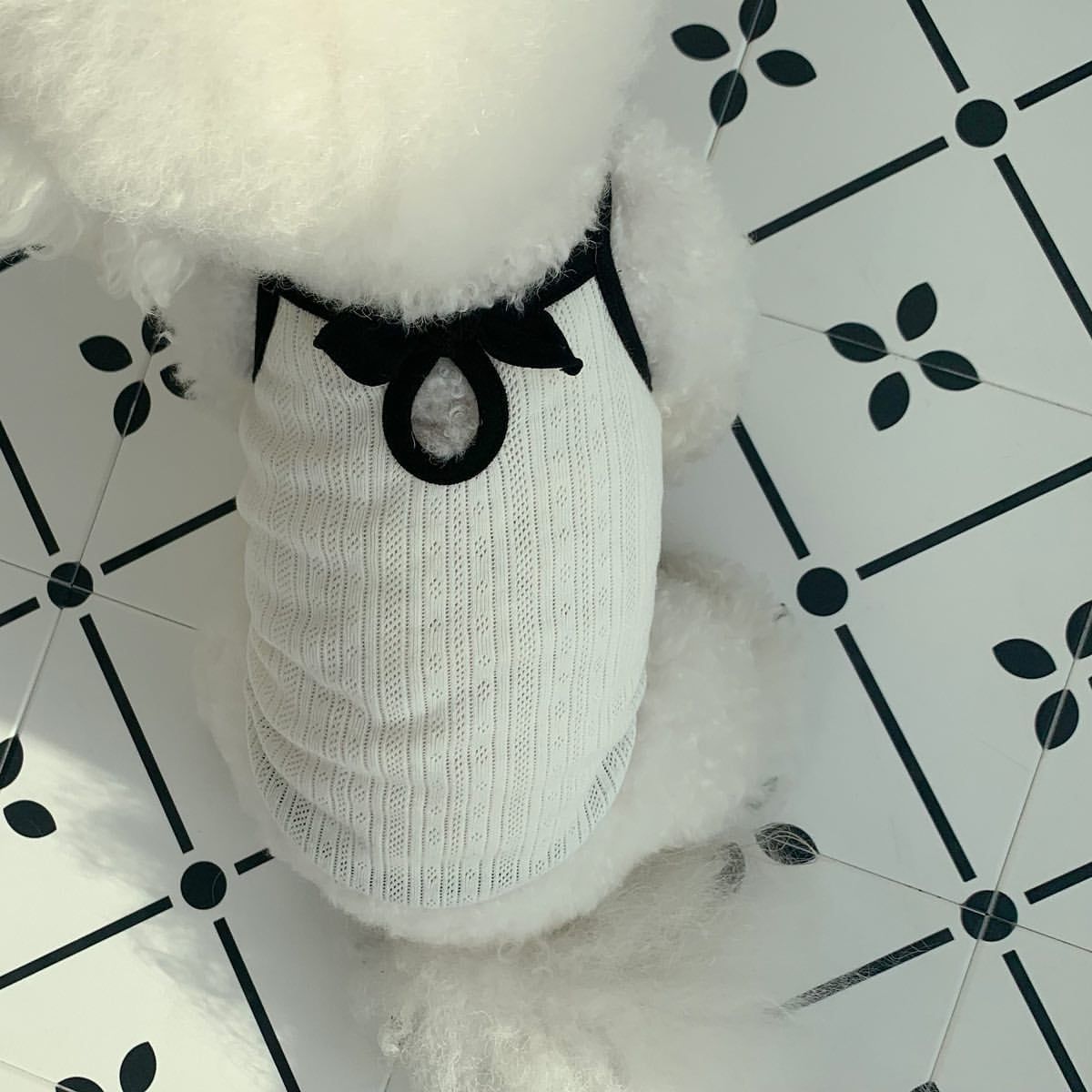 Lightweight Dog Camisole – Stylish Summer Outfit for Small Dogs