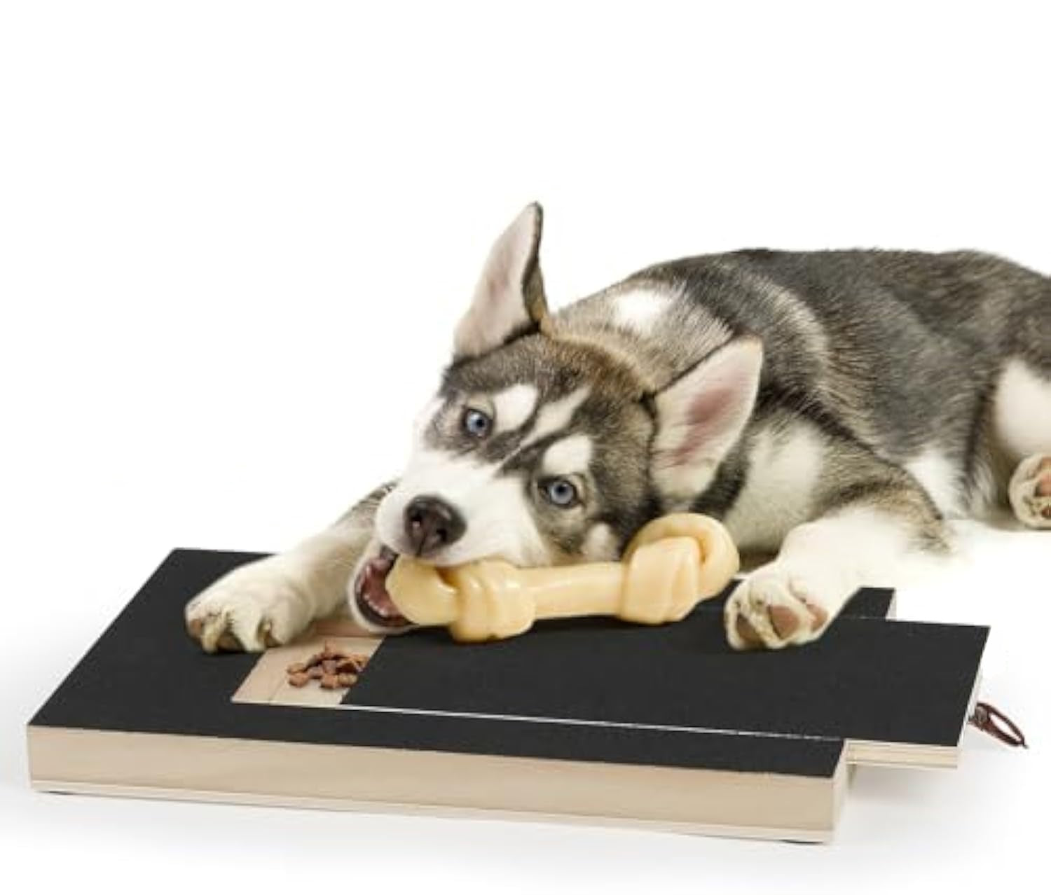Dog Nail Scratch Board – Stress-Free Nail File with Treat Box for All Sizes
