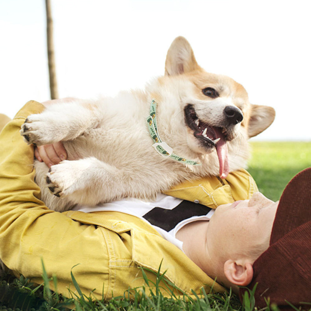Pet Dog & Cat Repellent Collar – Anti-Flea, Anti-Lice, Adjustable Outdoor Collar