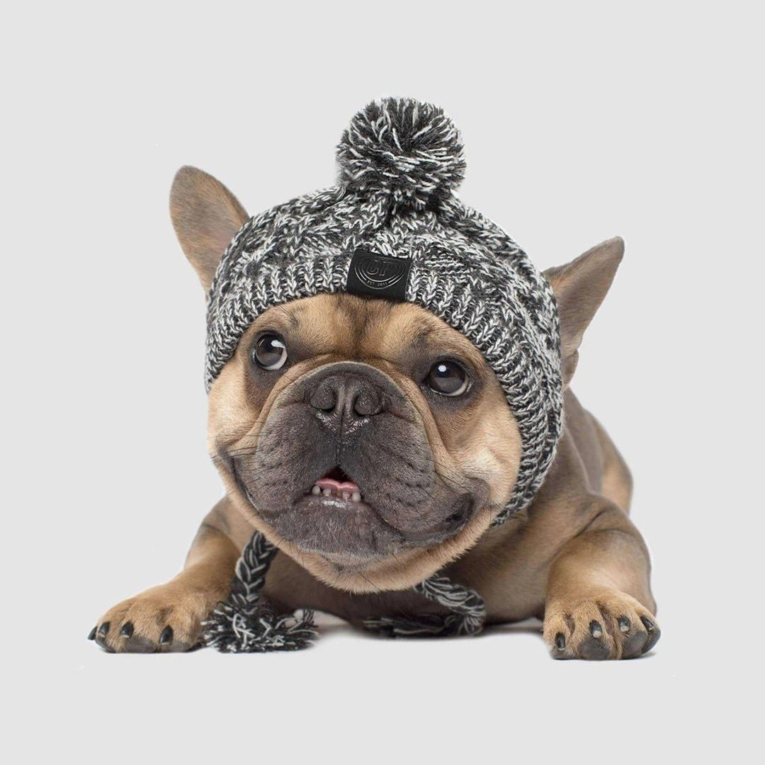 Winter Fashion Dog Hat – Windproof Fluffy Knit Pom Hat