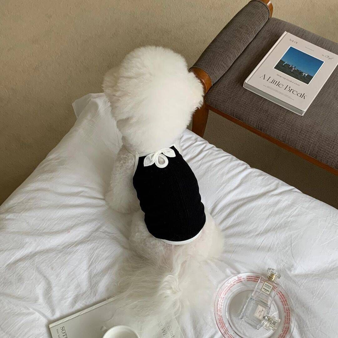 Lightweight Dog Camisole – Stylish Summer Outfit for Small Dogs