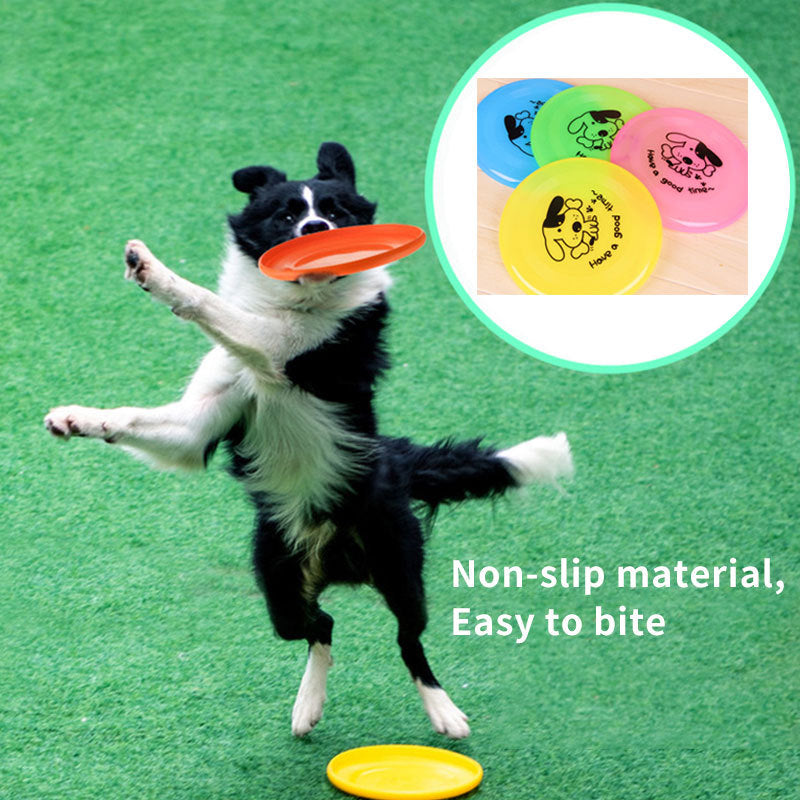 Pet supplies dog outdoor interactive toys – Gentle, Easy to Use