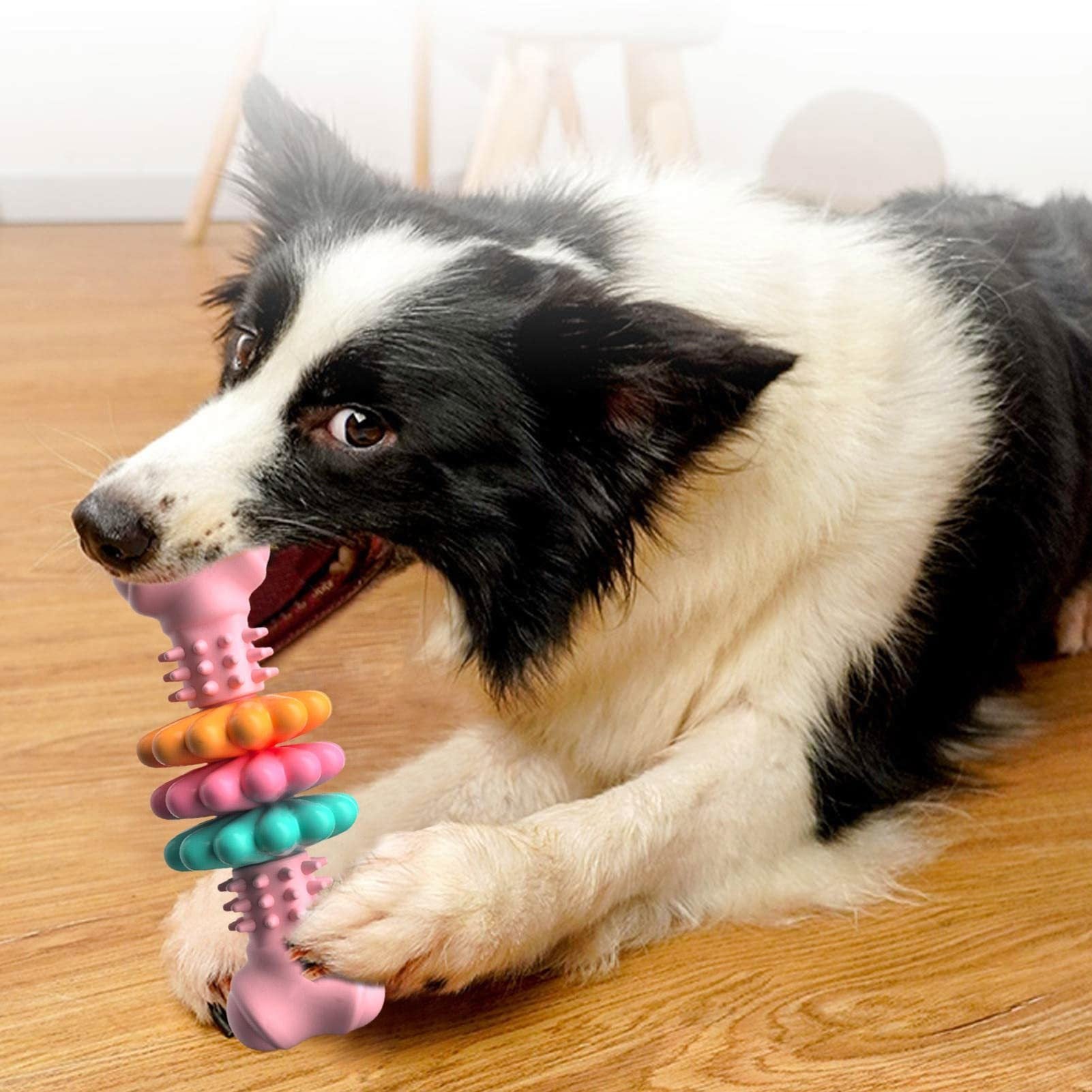 Durable Bone-Shaped Dog Chew Toy – Teeth Cleaning & Anxiety Relief for All Breeds