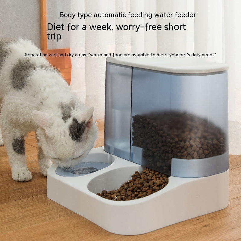 Visual Automatic Pet Feeder – Smart Feeding Bowl for Cats